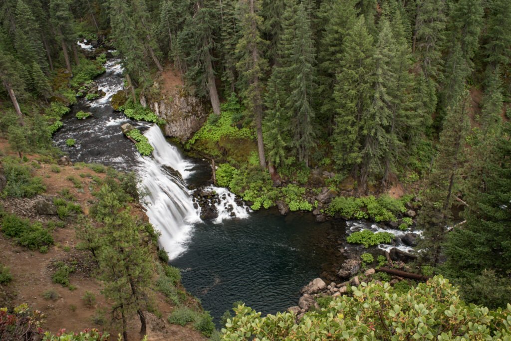 Prologue Part One - Concerning Owls Large waterfall from above