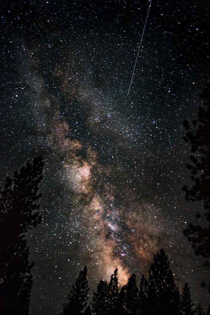 Prologue Part One - Concerning Owls Milky Way Galaxy with silhouettes of pine trees
